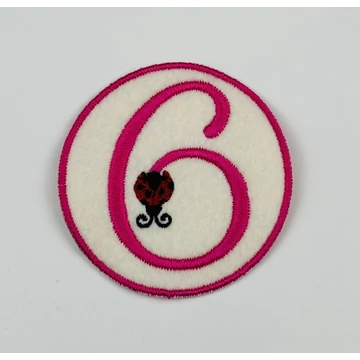 6